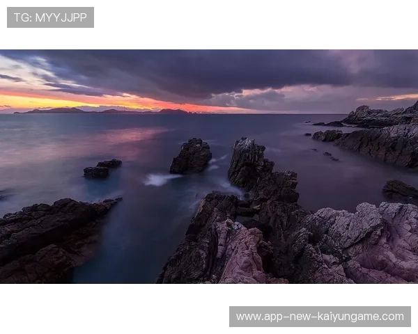 海湾者球队战术灵活多变，适应性强，海湾贴吧