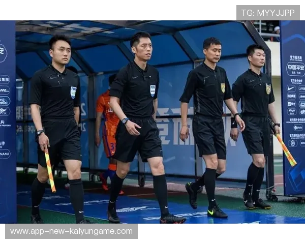 裁判员职业保障制度完善提高执法人员稳定性与积极性，裁判员执裁能力